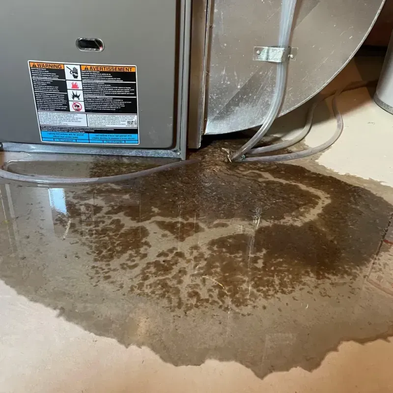 Appliance Leak Cleanup in Union Springs, AL